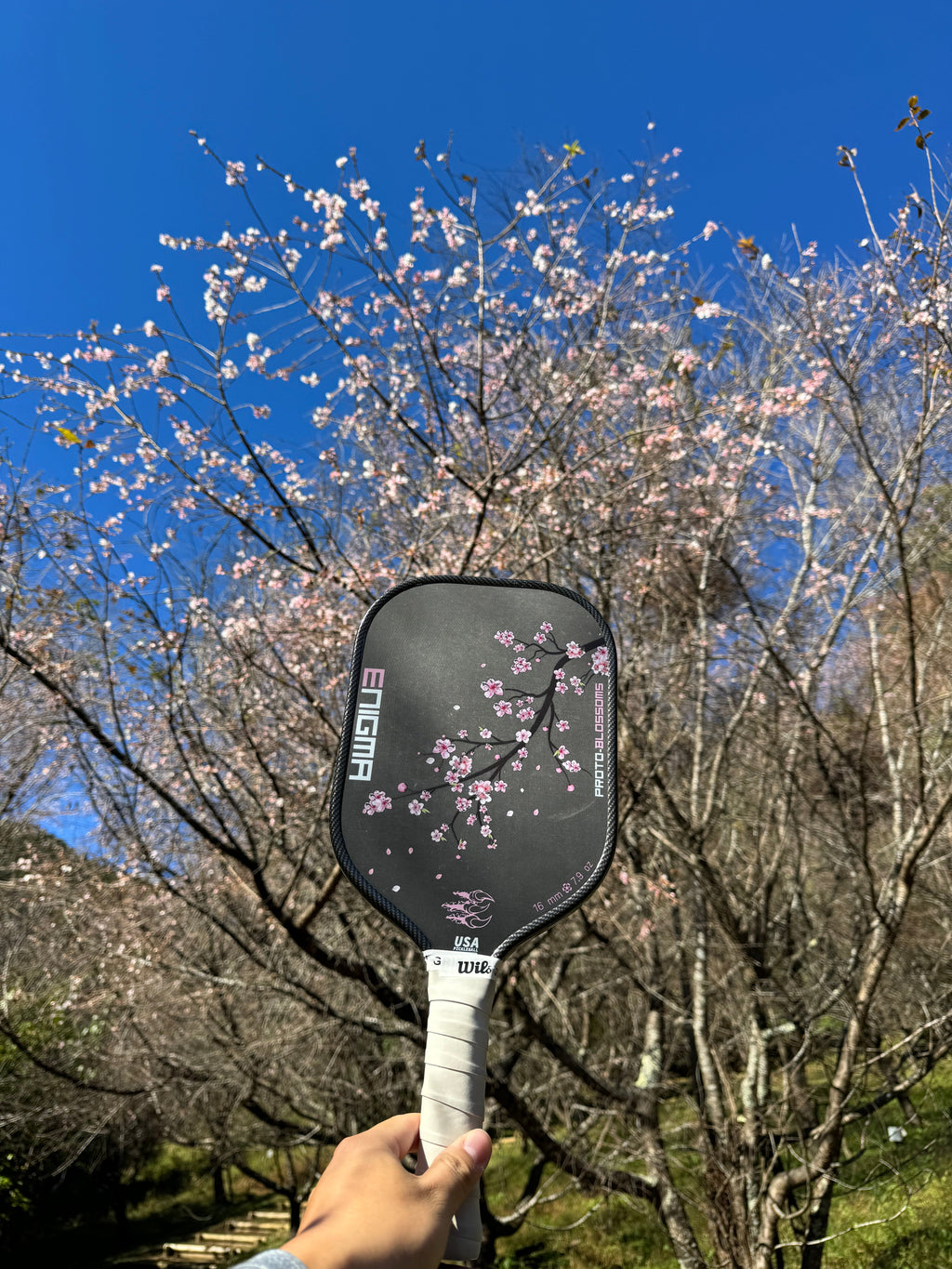 Proto-Blossom
